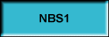 NBS1