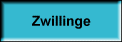 Zwillinge