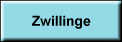 Zwillinge